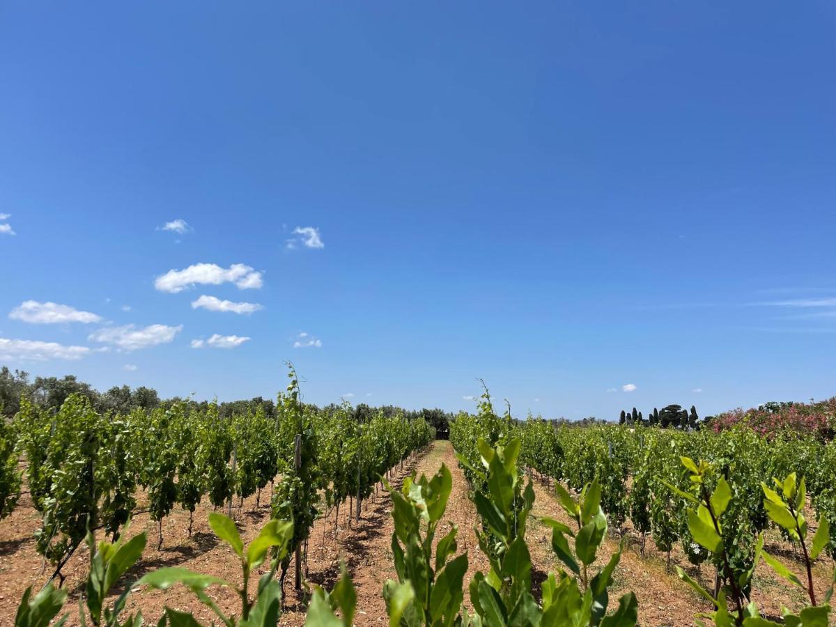 Agriturismo Terra Rossa Otranto Exterior foto